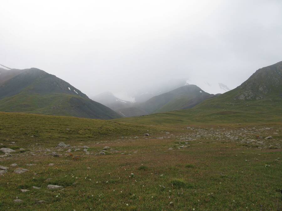 img00000029.jpg img00000029.jpg