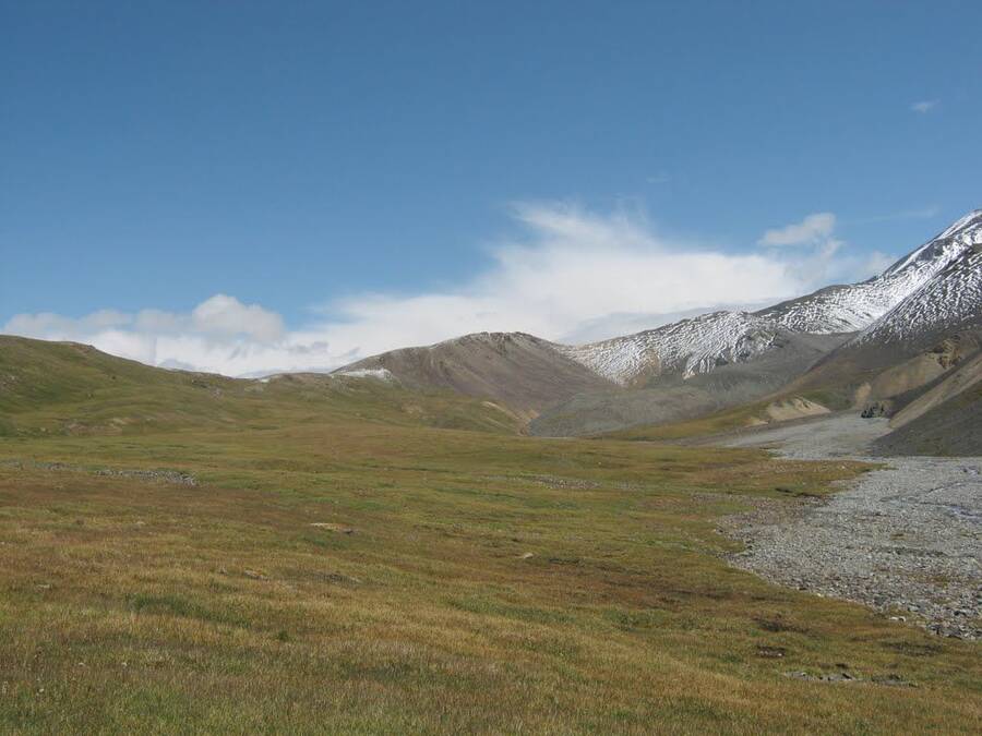 img0000004e.jpg