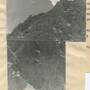 img0000014a.jpg