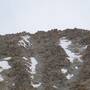 img0000028a.jpg