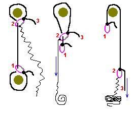 img000003e5.jpg img000003e5.jpg