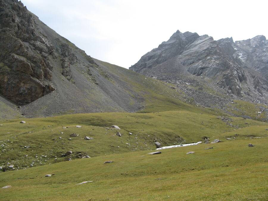img00000446.jpg