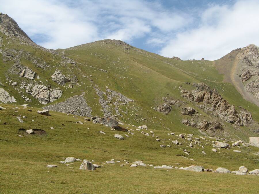 img00000455.jpg