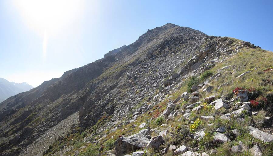 img00000633.jpg