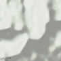 548bf1faa643b152e37247ce80d4.png