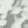 1e24d2fd6afbd37fab639e7013dc.png