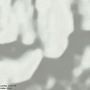 19cf553f37cf2c9c104b42b3e471.png