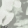 3a72bfd2c50178ebdbc80b08f372.png