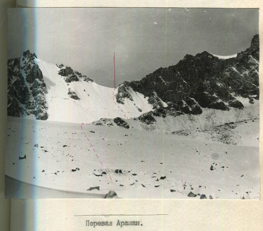арашан.jpg арашан.jpg