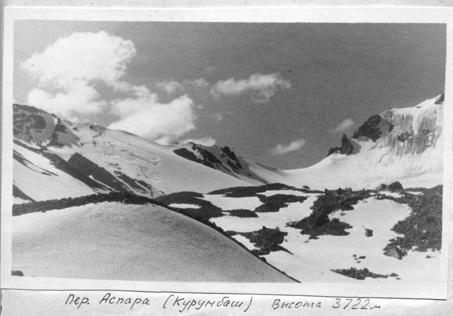 аспара.jpg аспара.jpg