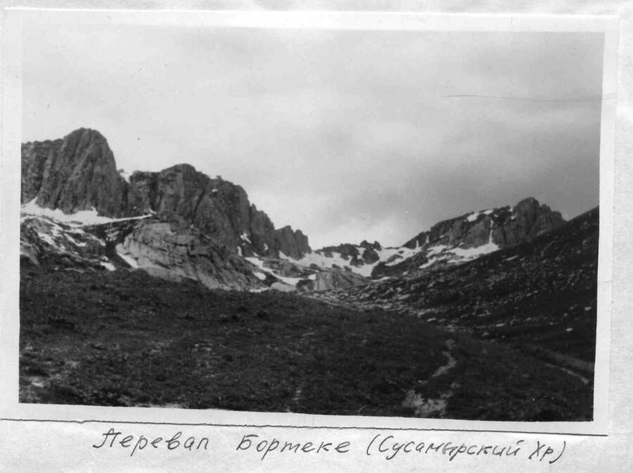 бортеке.jpg