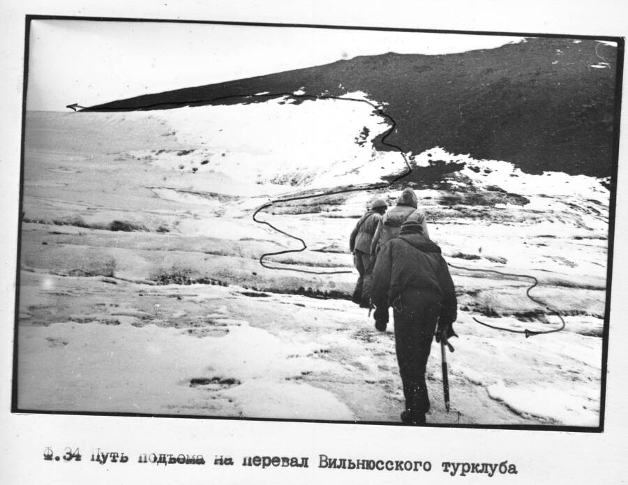 вильнюсскоготк.jpg вильнюсскоготк.jpg