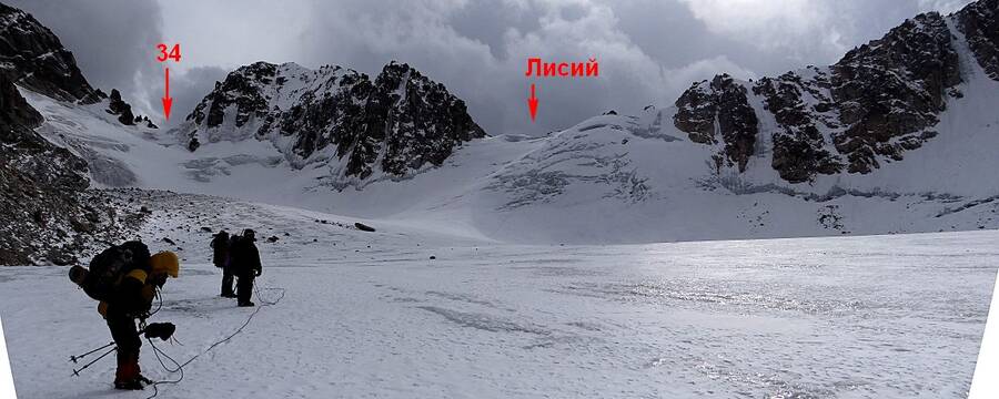 пер34_лисий.jpg