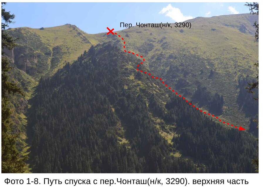чонташ2.jpg чонташ2.jpg