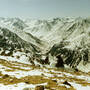 1069_prokhodimets-5.jpg