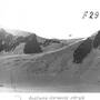 karakol_vost.jpg